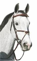 Henri de Rivel Pro Mono Crown Raised Figure Eight Bridle with Rubber Reins<br><p>The Henri de Rivel Pro Mono Crown Raised Figure 8 Bridle with Rubber Reins is exquisitely crafted at an affordable price. The padded, anatomically contoured mono crown piece removes pressure points across the poll with a padded browband for additional comfort. The stationary fleece nose pad guarantees no rubbing. Complete with stainless steel hardware, classic white structural stitching and 7/8" rubber reins for con