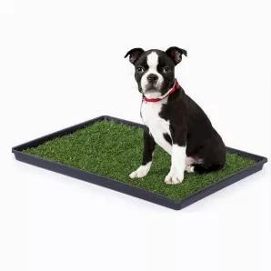 Mr. Peanut's Potty Place - Artificial Grass Puppy Pad for Dogs and Small Pets