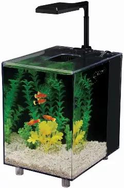 The Penn Plax Prism Nano Aquarium Kit includes a 2 gallon plastic tank, built in quiet power water filter, and LED light. This aquarium has a modern look with a cube design, glass hinged lid, and eye catching black background. Kit includes a quiet power integrated filter with dual cartridges that has a sponge and carbon pellets for maximum filtration. Carbon pellets are a highly porous filter material allowing for the colonization of beneficial bacteria helping keep your aquarium water and your 