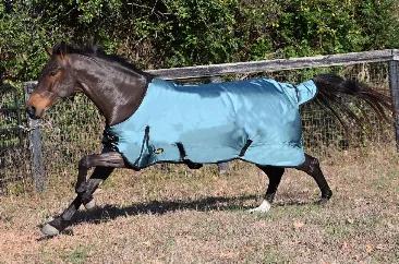 From the original Gatsby. Help your horse stay warm & dry this winter withOurs Gatsby Premium 1680D waterproof and breathable Turnout Sheet! Accept no substitutes. This turnout blanket is designed for maximum coverage and will give you years of use in all weather conditions. <br><br>Features:<br><ul></li><li>1680 Denier super-strong outer shell. Fully waterproof and breathable.</li><li>100% 70D Polyester lining</li><li>Criss-cross Nylon Surcingles</li><li>Tail Flap and Adjustable nylon leg strap