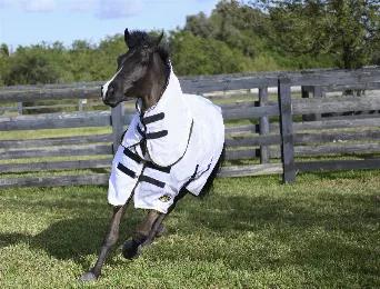 This cool lightweight mesh fly rug does a great job of providing the horse with an effective barrier to flies and bugs whilst still allowing air flow. The very lightweight material reflective fabric helps guard against sun bleach and the improved neck design and lining to the chest helps prevent rubbing. Further features include Blanket Set Front Fastenings, adjustable Belly Flap and a tail flap. UV protection helping to prevent sunburn and sun bleaching. Features Tail Flap, Belly Flap, Blanket 