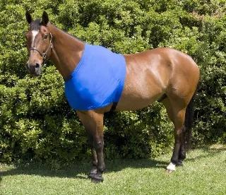 Protect your horse from blanket chafing with this form fitting guard. This classic shoulder guard is constructed of 100% Lycra. Features 2" elastic band, fleece lined neck opening, and a closed front. A must have item for any horse that suffers from blanket rubs.