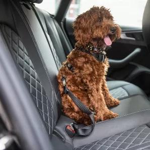The GF Pet Seat Belt allows you to take your dog everywhere with you safely in the car! To be used with Travel Harness, please avoid attaching this to a collar. <br> Product Details: <br> o Adjustable 20"-30" <br> o Fits Standard Automobiles Buckles <br> o 100% Strong Nylon
