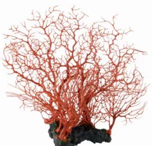 These incredibly realistic decorations are hand crafted and painted using only the highest quality materials. Non-toxic, and safe for use in both freshwater and saltwater aquariums. Enhance your aquarium with any of these exciting decorations!