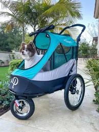 <div><br><p><br>Petique's Trailblazer Pet Jogger is designed for active pet parents who want to incorporate more exercise with their pets. Equipped with shock absorbing wheels for a smooth and stable ride, the sporty Trailblazer Pet Jogger is ideal for both small to large pets, multiple pets, and even pets who are old, handicapped, or unvaccinated. This pet jogger consists of quality, well-ventilated mesh windows that produce optimal airflow as well as help protect your pets from unwanted insect