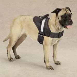 This practical Guardian Gear Excursion Pet Harnesses has an easy-grab handle to help control excited pets. A reflective strip above the D-ring keeps pets visible. With quick-release buckles and adjustable webbing for varied dog sizes. <br> Harnesseses are available in the following sizes:<br> Small (15-19" chest)<br> Medium (20-28" chest)<br> Large (26-36" chest)<br> X-Large (36-46" chest)<br>