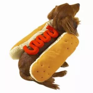 Casual Canine Hot Diggity Dog Costume Large Mustard