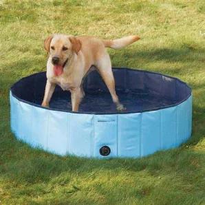 Cool Pup Splash About Dog Pool Large Blue