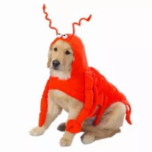 Casual Canine Lobster Paws Costume XXL