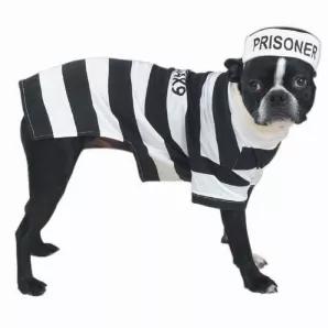 Casual Canine Prison Pooch Costume XXL
