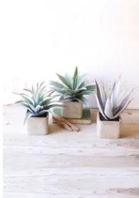 Beautiful, durable and maintenance free, these artificial potted succulents are an ideal gardening solution for those with a not so green thumb. Display them together or separately for a trendy look that will surely breath new life into any room!