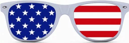 USA Sunglasses - Patriotic Wayfarer Shades