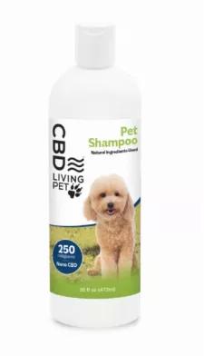 <p>Get Fido and Kitty squeaky clean with an added dose of&nbsp;250 mg of Broad Spectrum CBD. Aloe vera and oatmeal help eliminate odors, soothe itchy skin and replenish oat with moisture. CBD Living Pet Shampoo is suitable for all pets.</p>