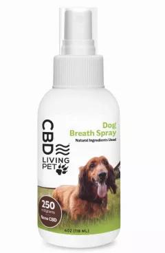 Your dog’s dental health is important! CBD Living Pet Dog Breath Spray is uniquely formulated to support Fido’s oral health, combat plaque and tartar, fight bacteria, soothe gums and prevent tooth decay. Real peppermint oils freshen breath and 250 mg of CBD soothes Fido from the inside out.