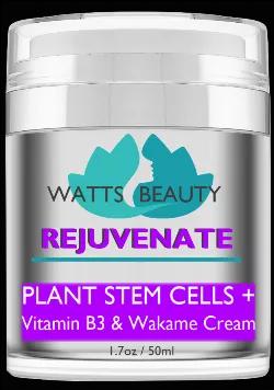 <p>The perfect complement to your favorite serum, this rejuvenating night cream completes your nighttime age defying routine. As the hands of time turn, you try your hardest to hold onto those abundantly youthful years. While you can&#39;t literally turn back the hands of time, there is plenty that you can do to rejuvenate your skins vibrant, youthful appearance. Cosmetic dermatologists are raving about Plant Stem Extracts such as those from the meristems of the Globularia Cordifolia. Using prod
