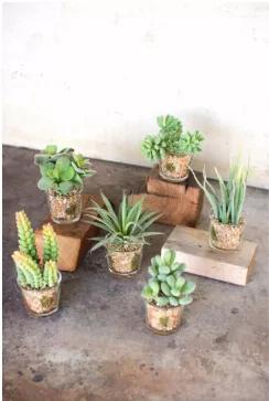 You don't have to have a green thumb to add some greenery to your home. With this adorable set of 6 artificial succulents, it's never been easier to bring some much needed life into an otherwise plant less home.