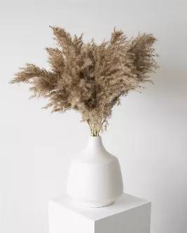 One of my favourite and newest editions to the collection is the Mini Pampas Grass! This natural brown colour adds warm and luscious textures makes for a chic addition to a coffee, dining, console, or bedside table!