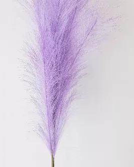 Our Purple Faux is an artificial pampas grass that emulates the beauty of real pampas. This is ideal for people who want a mess-free experience with pampas grass where no shedding will occur. These will last forever. Ideal for those with allergies, homes with pets, or in high traffic areas. Use 3 to 5 stems to fit a tabletop vase, or combine 5 to 10 stems to create a fuller look for a floor vase. Vase is not included.