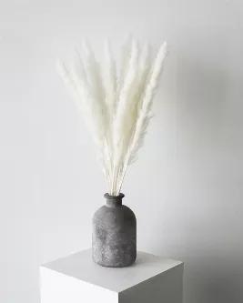 The White Small Pampas is part of our Newest Collection that comes in a bundle of 10 stems. The perfect addition to any dried arrangement for fluffiness or to add to your pre-existing pampas and any DIY projects. These thinner Pampas Grass offer a skinny plume amongst our collection that creates a dainty look. The mood achieved from this colour is clean and elegance which compliments any space. Because each stem is naturally grown, the plume size may slightly differ from stem-to-stem. Trim 3 to 