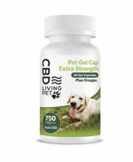 Giving your pet a higher dose of CBD has never been easier, thanks to CBD Living Pet Extra Strength Gel Caps. Each gel cap contains 25 mg of broad spectrum CBD and 56 mg of Omega-3 Fatty Acids.