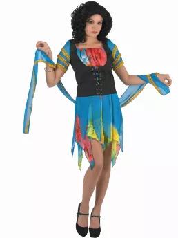 Miss Fortune Teller Costume in size large.  Made of 100% synthetic materials.  Does not include wig.  Hand wash with gentle soap and line dry. 