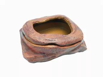 Great live food dish with removable cover to ensure your worms stay inside of the dish.  Has a natural rock smooth finish.  Will look great in any enclosure and is easy to clean! Made of resin.<br>

Dimensions:  4" x 3.5" x 1.25"