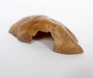 <p> This resin reptile hide is perfect for most small to large species of reptiles, amphibians, and invertebrates. It has a smooth texture and is made of resin making it durable, easy to clean, and able to sink when submerged in water. The Jungle Bob Smooth Brown Cave is available in both small and large. Looking to add a new hide to your pet's enclosure? This hide might be the perfect one for you!</p>

Jungle Bob Brand... Be sure to check out our other products!<br>

Dimensions:<br>

Small: 6.2