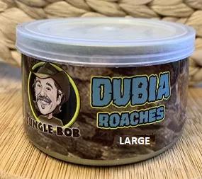 <p> Dubia roaches in the can....Incredibly nutritious and now Super Convenient!</p>  <br>

NO! They are NOT alive in the can!! <br>

Jungle Bob Dubias are a complimentary pet food for reptiles. <br>

High in protein <br>
Super convenient in the can and easy to dispense* <br>
Perfect size for medium to large lizards <br>
Odor Free <br>
Super convenient <br>
Ready to dispense right from the can <br>
Dubias are the most well-rounded feeder insects on the market  <br>
Approximately 25 in each can <b