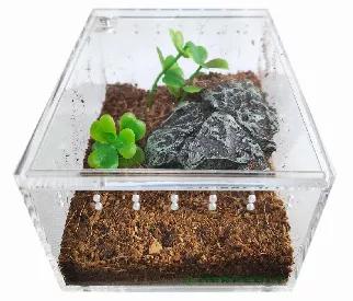 <p> Acrylic Terrariums by HerpCult are made with durable, hard to wear acrylic, Sturdy, sleek and easy to clean with lids that slide closed with a smooth edge and small magnets to ensure your herp will stay put.<br></p>

Herp hobbyists everywhere have been creating new innovative ways to display their prized possessions, their reptiles!<br>

The new cutting-edge design of HerpCult Acrylic terrariums are sure to WOW your reptile hobbyist friends, while providing above satisfactory husbandry for y