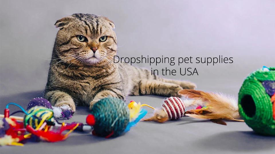 Dropshipping Pet Supplies in the USA