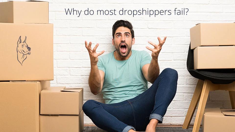 Why Do Most Dropshippers Fail?